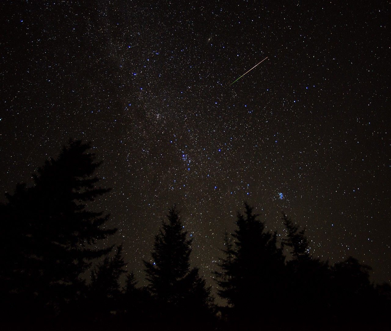 Eine helle Meteorspur rechts oberhalb der Bildmitte, Sterne und Milchstraße über dunklen Baumkronen bei Spruce Knob
